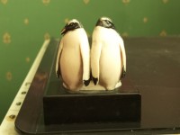 IMG_20240821_170034.jpg